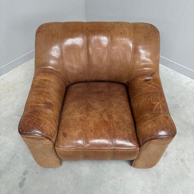 Brown Vintage DS44 Lounge Chair from de Sede, 1970s For Sale - Image 8 of 15