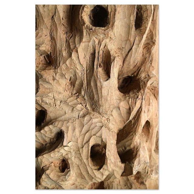 Carved Teak Root Sculpture For Sale - Image 4 of 7