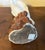 Antique 19th Century Japanese Meiji Porcelain Figure of a Hawk For Sale - Image 14 of 14