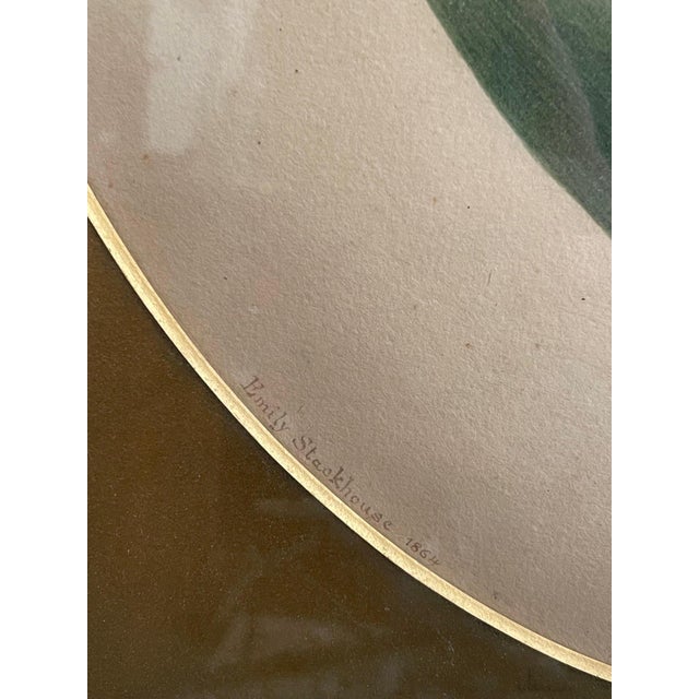 Glass Emily Stackhouse, Schwertlilie, 1864, Watercolor on Paper, Framed For Sale - Image 7 of 12