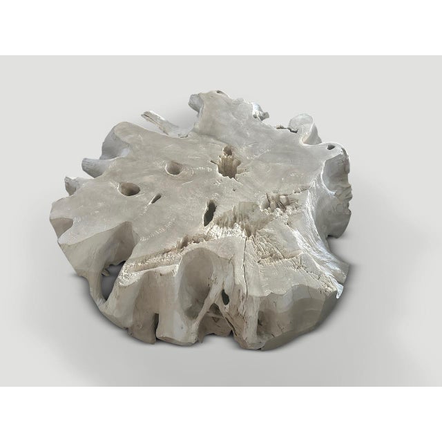 Andrianna Shamaris Bleached Teak Wood Root Coffee Table For Sale - Image 4 of 5
