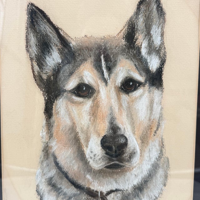 Contemporary Original Vintage Dog Pastel Portrait For Sale - Image 3 of 12
