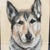 Contemporary Original Vintage Dog Pastel Portrait For Sale - Image 3 of 12