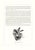1970s Large 1973 Orchid Flower Lithograph "Stanhopea Tigrina" (Tiger-Like Stanhopea) After James Bateman For Sale - Image 5 of 7