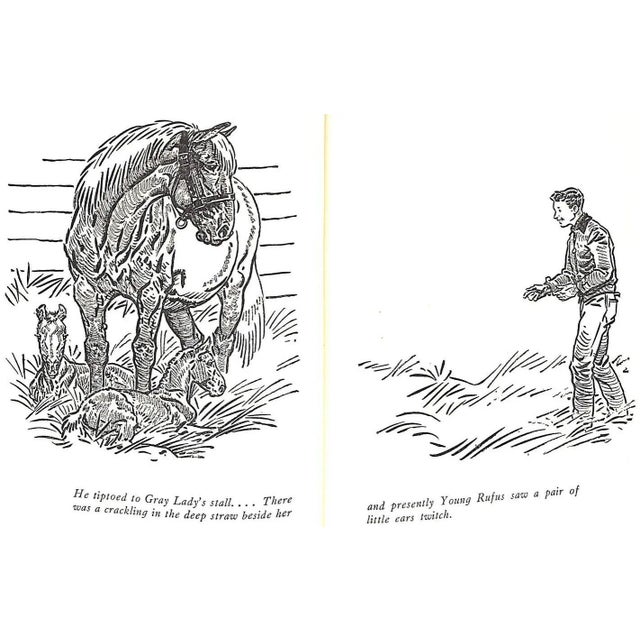 "King of the Stallion" Book 1947 Tracy, Edward B. For Sale - Image 9 of 9