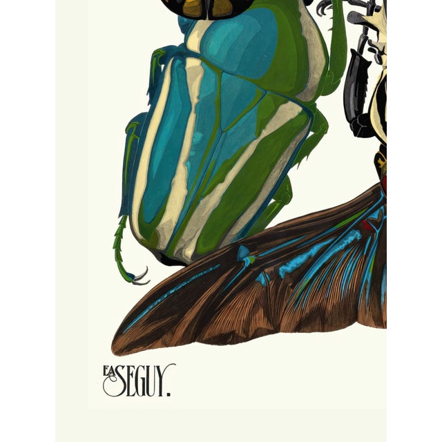 Insects Plate 03 by Emile-Allain Séguy, Vintage Art Print Reproduction, 18" × 24" For Sale - Image 4 of 6