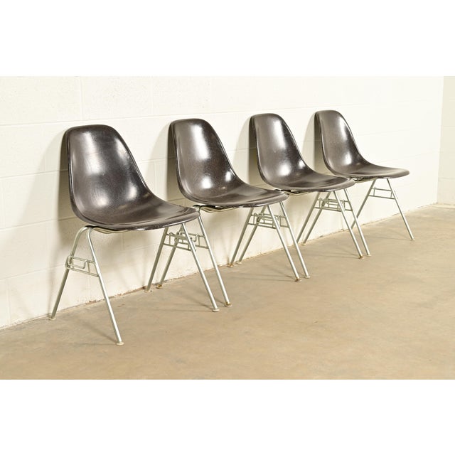 1980s Charles & Ray Eames for Herman Miller DSS Seal Brown Stacking Shell Chairs | Set of Four For Sale - Image 5 of 12