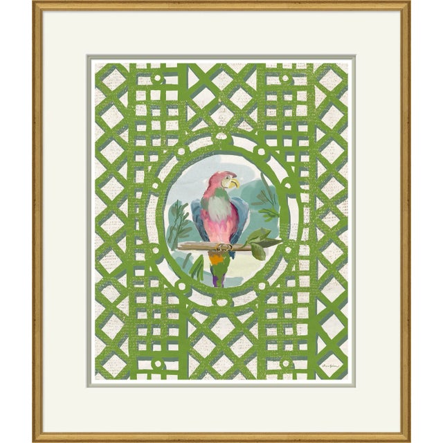 Contemporary Aviary, Multi Framed Art Print by Dana Gibson For Sale - Image 3 of 3