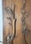 1930s Antique Hand Carved Wood Relief Wall Architectural Salvage Panel Sculpture Art For Sale - Image 5 of 12