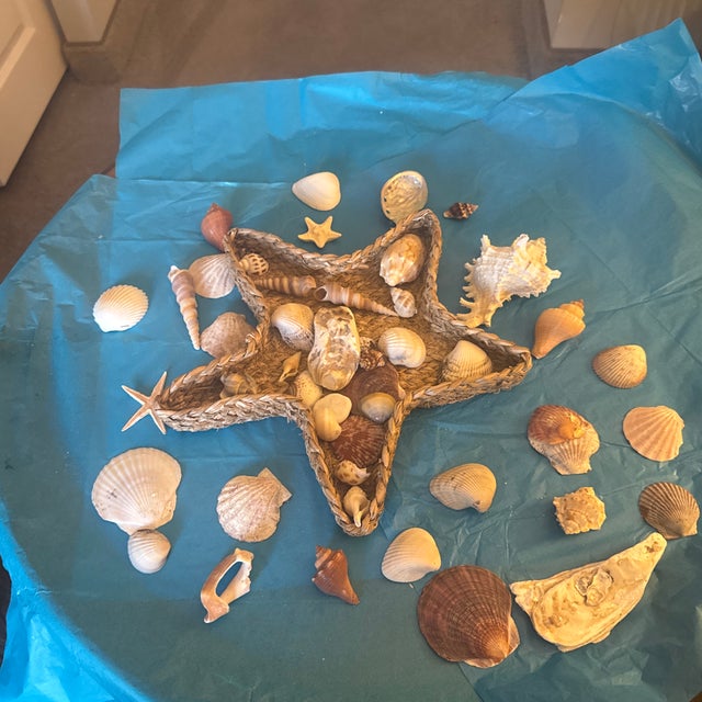 Starfish Woven Basket Filled With Seashells For Sale - Image 10 of 12