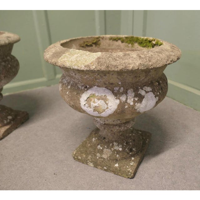 Stone Mid-Century Weathered Cast Stone Garden Planters, 1920s, Set of 2 For Sale - Image 7 of 8