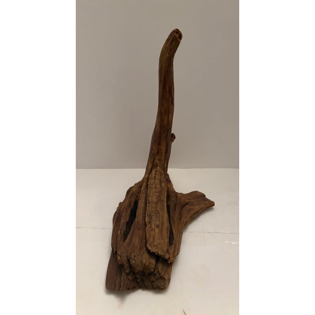 Organic Root Wood Sculpture – Natural Driftwood Object – Organic Modern Decor For Sale - Image 9 of 10