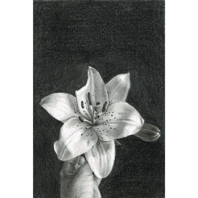 Aleksandra Kalisz, Lily, 2020, Pencil on Paper For Sale - Image 4 of 5