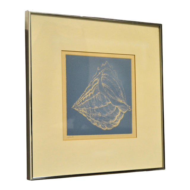 Framed Realism Blue & Beige Seashell Pencil Painting, Fine Art Brushed Chrome For Sale