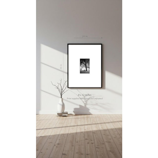 Paul Cooklin, Trees, Ardennes, Edition of 50 For Sale - Image 6 of 7