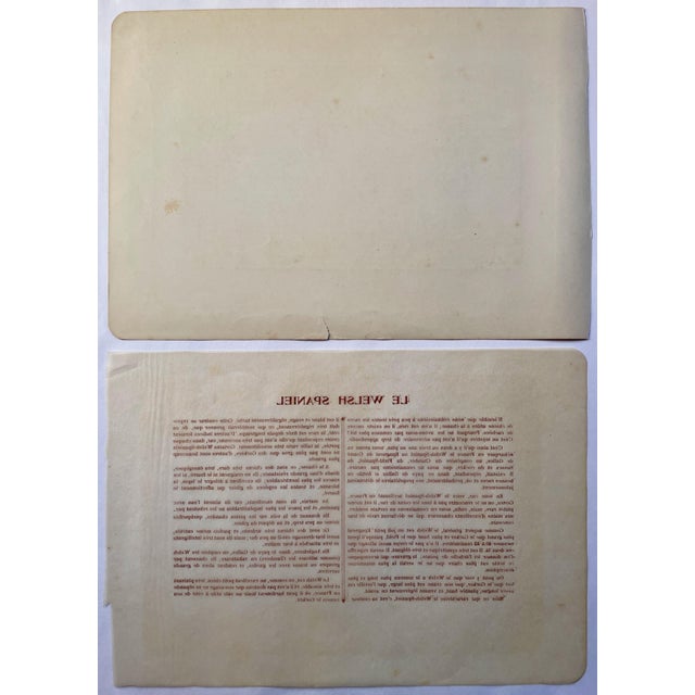 Illustration 1907 French Photogravure Print of "Le Welsh Spaniel” Hunting Dogs - For Sale - Image 3 of 3