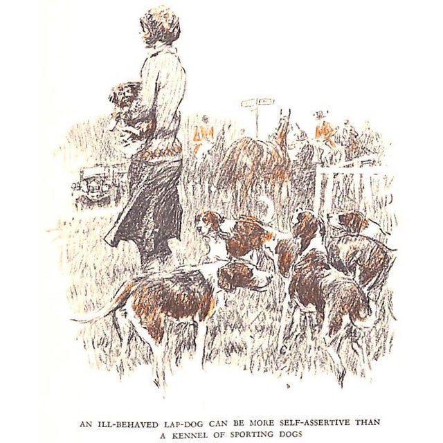 "Hard Up on Pegasus" 1931 Pollard, Hugh b.c. For Sale - Image 9 of 12