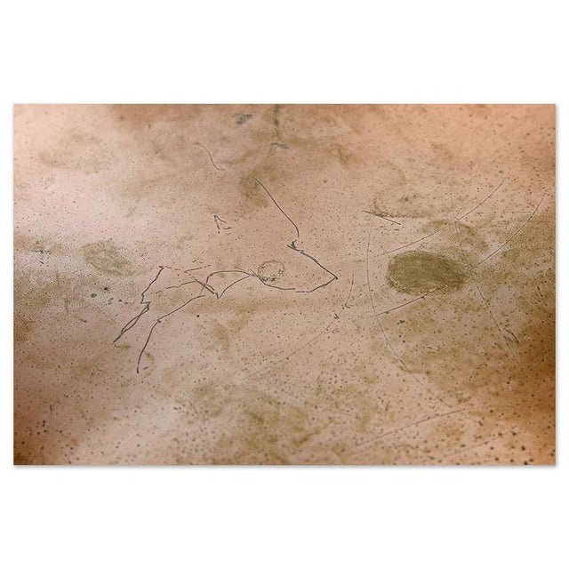 Vintage Oyster Wall Lamp by Rolf Krüger For Sale - Image 6 of 8