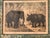Set of Nine Gotthilf Von Schubert Natural History Chromolithographs For Sale - Image 12 of 17