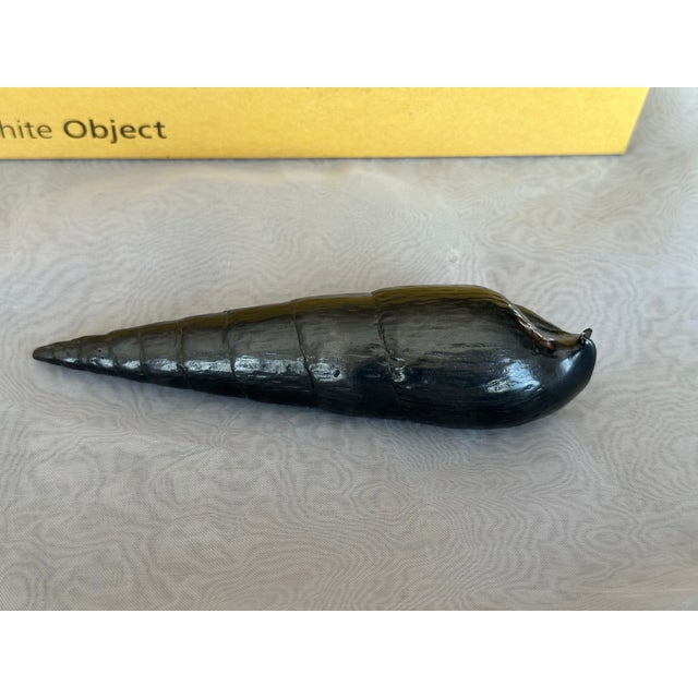 Graphite Shell Sculpture by Agelio Batle For Sale In New York - Image 6 of 10