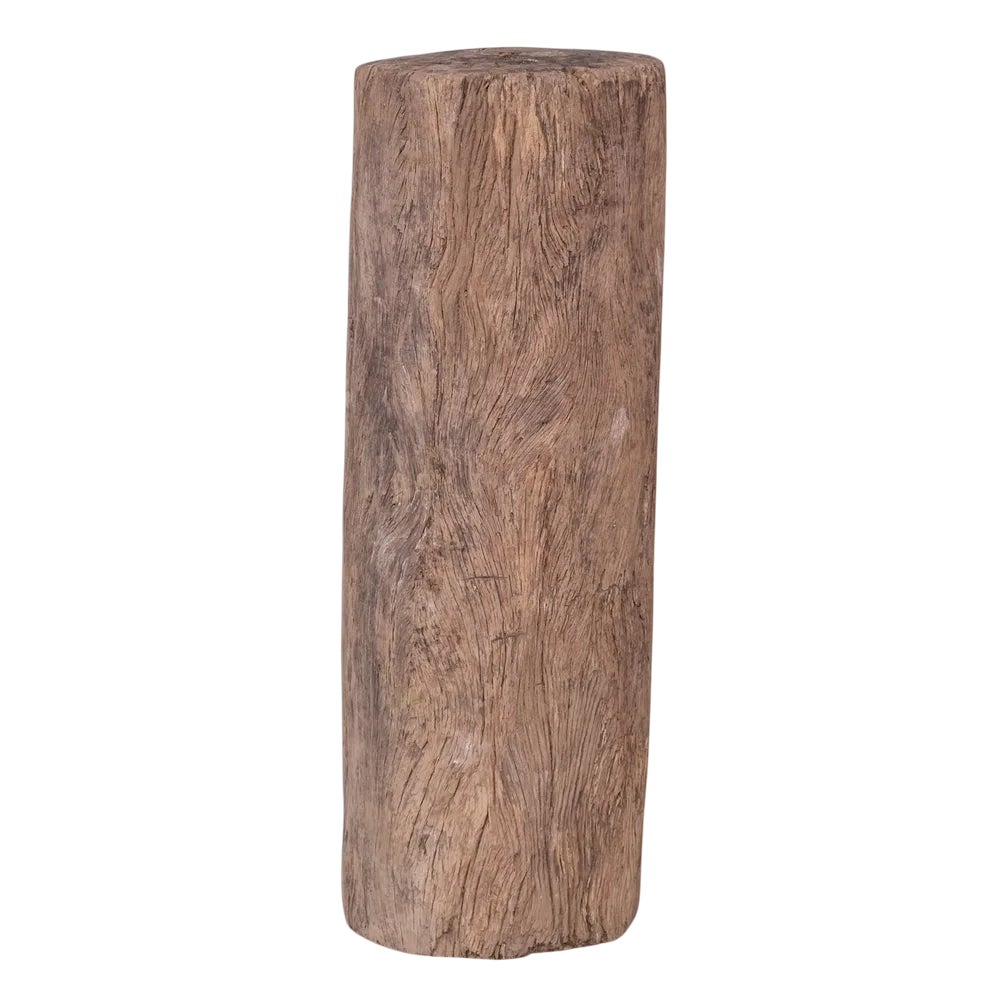 Wooden Tree Trunk Display Stand | Chairish