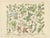 M. Fünfstück, Wildflowers & Medicinal Plants, 1890s, Chromolithograph, Set of 4 For Sale - Image 5 of 9