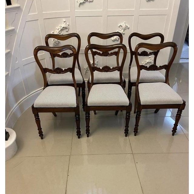 Antique Victorian Rosewood Dining Chairs, 1850s, Set of 6 For Sale - Image 15 of 15