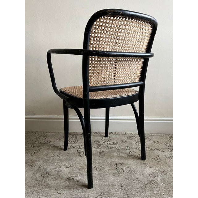 Set of Model 911 Chairs with Black Bentwood Frame and Cane Seats by Josef Frank for Thonet, 1920s For Sale - Image 6 of 11