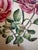 Pink A Hand Colored Engraving of Pink Roses For Sale - Image 8 of 15