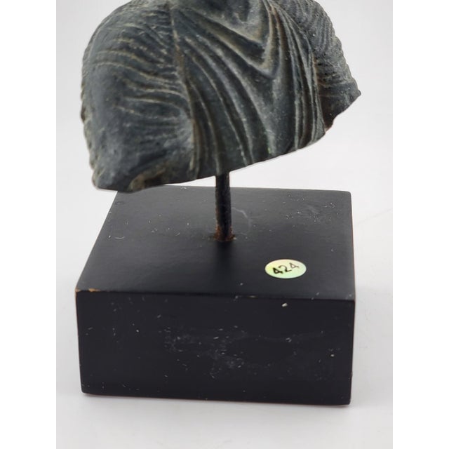 Vintage Miniature Charioteer from Delphi Sculpture Bust. For Sale - Image 9 of 11