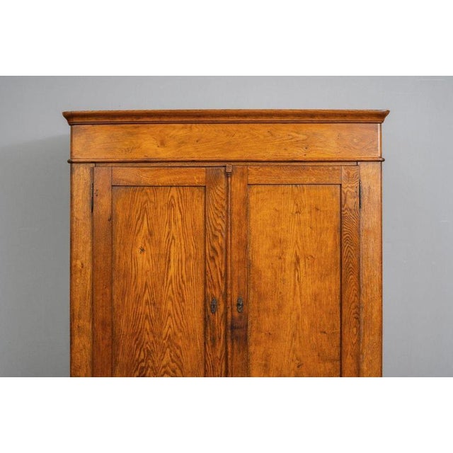 Wood Early 19th Century Biedermeier Wardrobe in Oak For Sale - Image 7 of 18