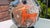 Ceramic Pitcher with Fish-Shaped Spout, Roe Deer and Forest Motif, 1960s For Sale - Image 10 of 14