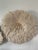 African Juju Feather Headdress, 28 In. Diameter, Off-White For Sale - Image 4 of 4