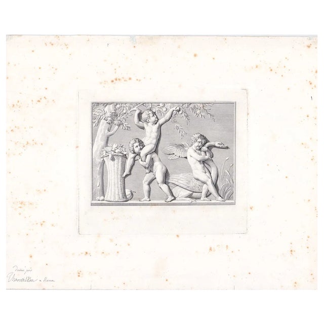 Neoclassical Cupid With a Swan and Boys Picking Fruit Antique Engraving For Sale - Image 3 of 3