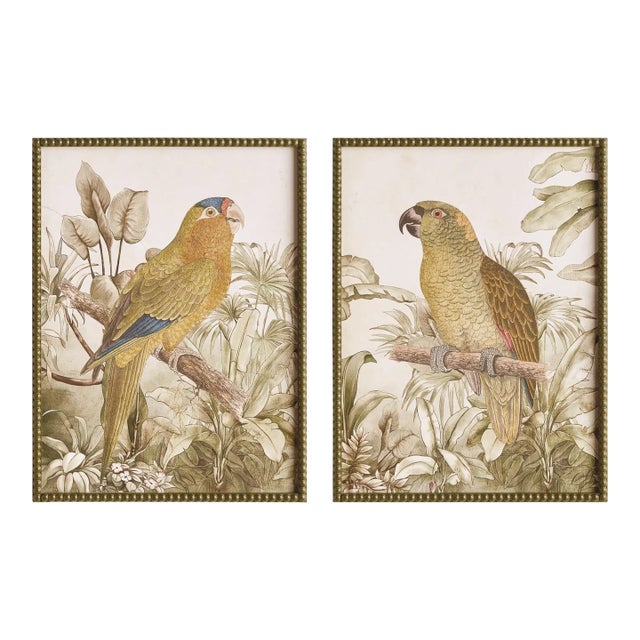 Tropical Parrot Prints, Set Of 2 For Sale