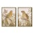 Tropical Parrot Prints, Set Of 2 For Sale