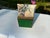 Vintage British Colonial Botanical Decoupage Square Cachepot With Antiqued Gold Trim For Sale - Image 9 of 10