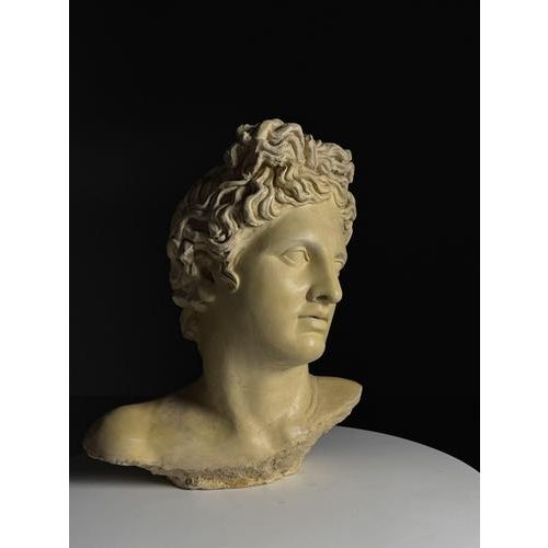 Apollo Bust in Concrete For Sale - Image 11 of 12