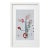 Framed Organic Modern Minimalist Flower Study | Botanical Painting | Herbarium Wall Art For Sale