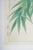 Contemporary Vintage 1950's Japanese Woodblock Kawarazaki Shodoo Bamboo Print For Sale - Image 3 of 8