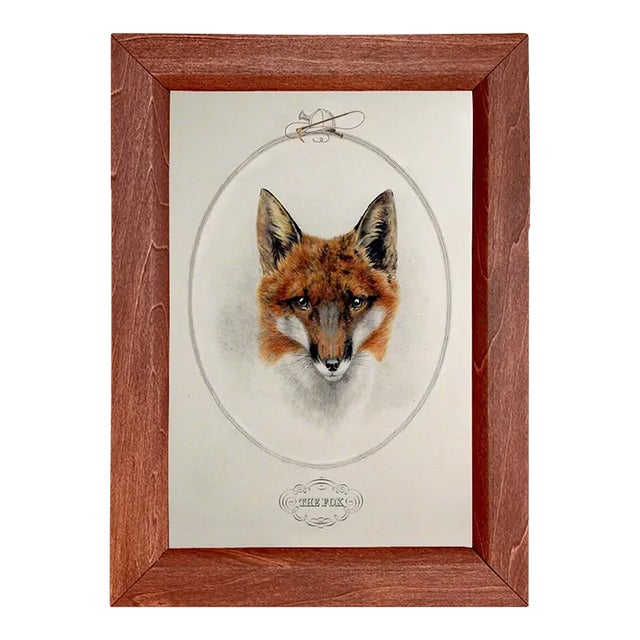 "The Fox" Framed Print For Sale