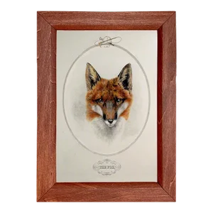 "The Fox" Framed Print
