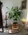1960s Italian Bent Bamboo & Rattan Rocking Horse Attributed to Franco Albini For Sale - Image 10 of 11