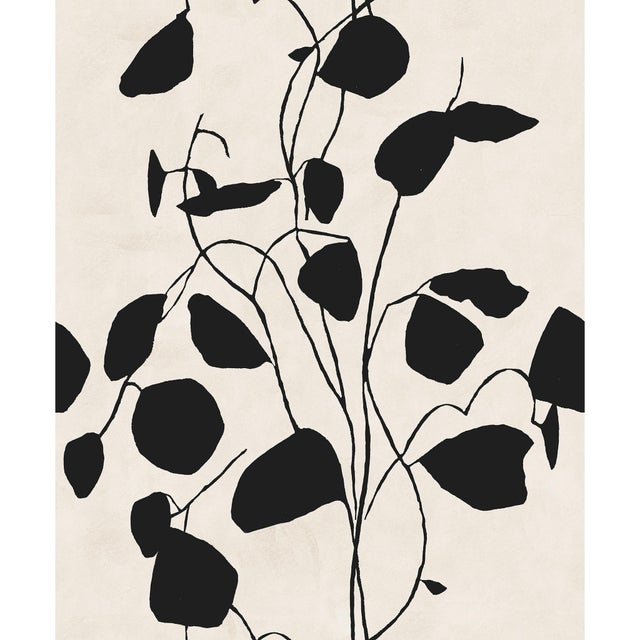 Sample - Money Plant Wallpaper by Susan Hable in Black on Cream For Sale