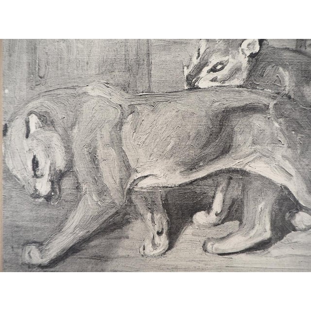 Théophile Alexandre Steinlen, Les Fauves, Lithograph For Sale - Image 4 of 6