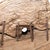 Vintage Rajasthani Wooden Cart Wheel, 1940s For Sale - Image 6 of 7