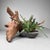 Japanese Koboku Root Wood Sculpture, 1960s For Sale - Image 9 of 13