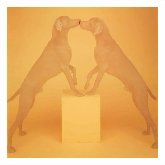 William Wegman, Touching, 1991/2018, Digital Print For Sale - Image 5 of 5