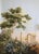 1: Commodity: Hand-Painted Ancient Civilization Ruins Wallpaper 2: Handicrafts: 100% handmade and hand-painted. 3:...