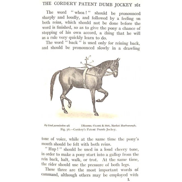 Paper "Modern Polo" Miller, Lieut. Colonel e.d., c.b.e., d.s.o. For Sale - Image 7 of 12